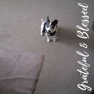 Meet your Posher, Lenora